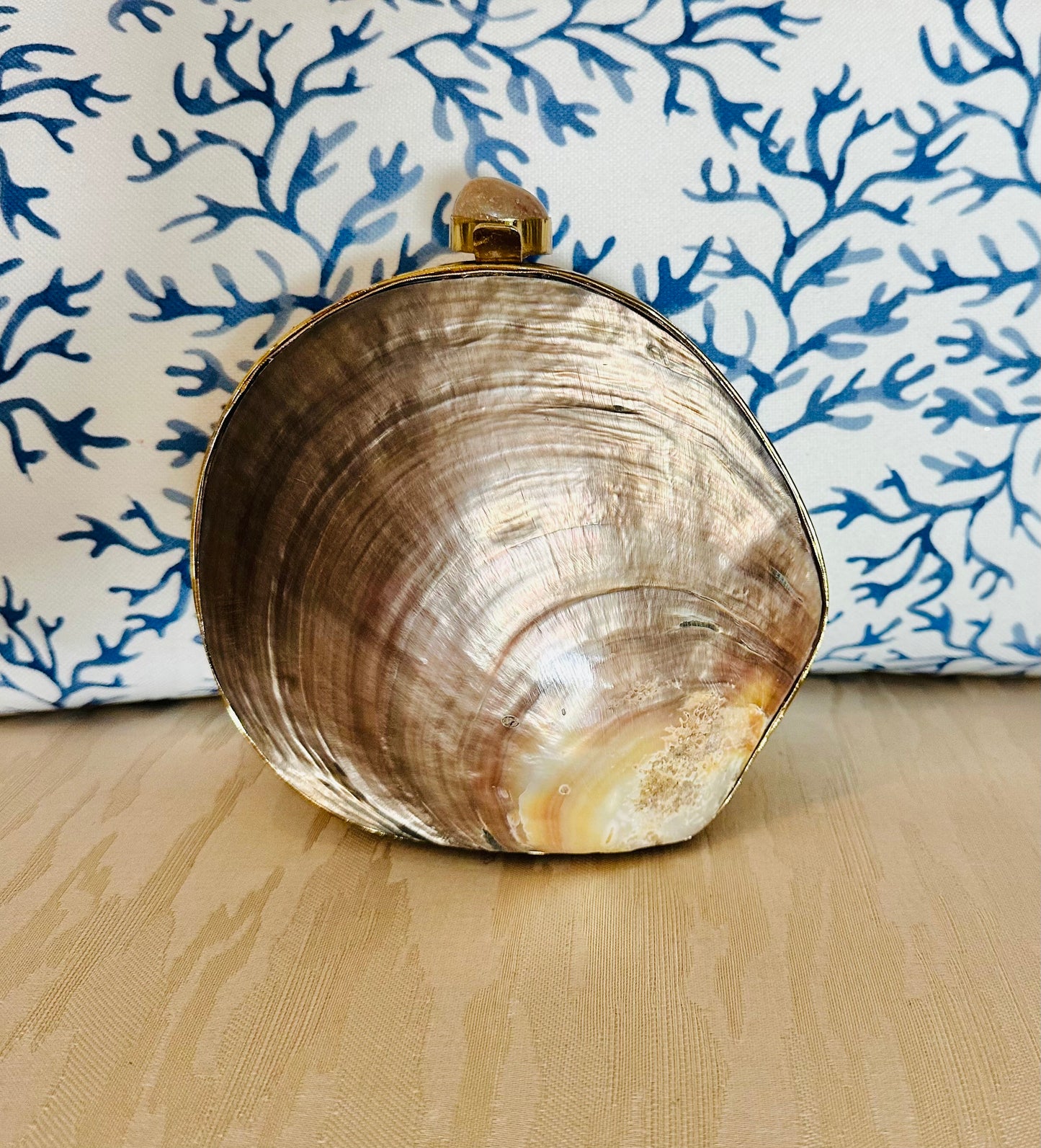 Small Oyster Shell Purse