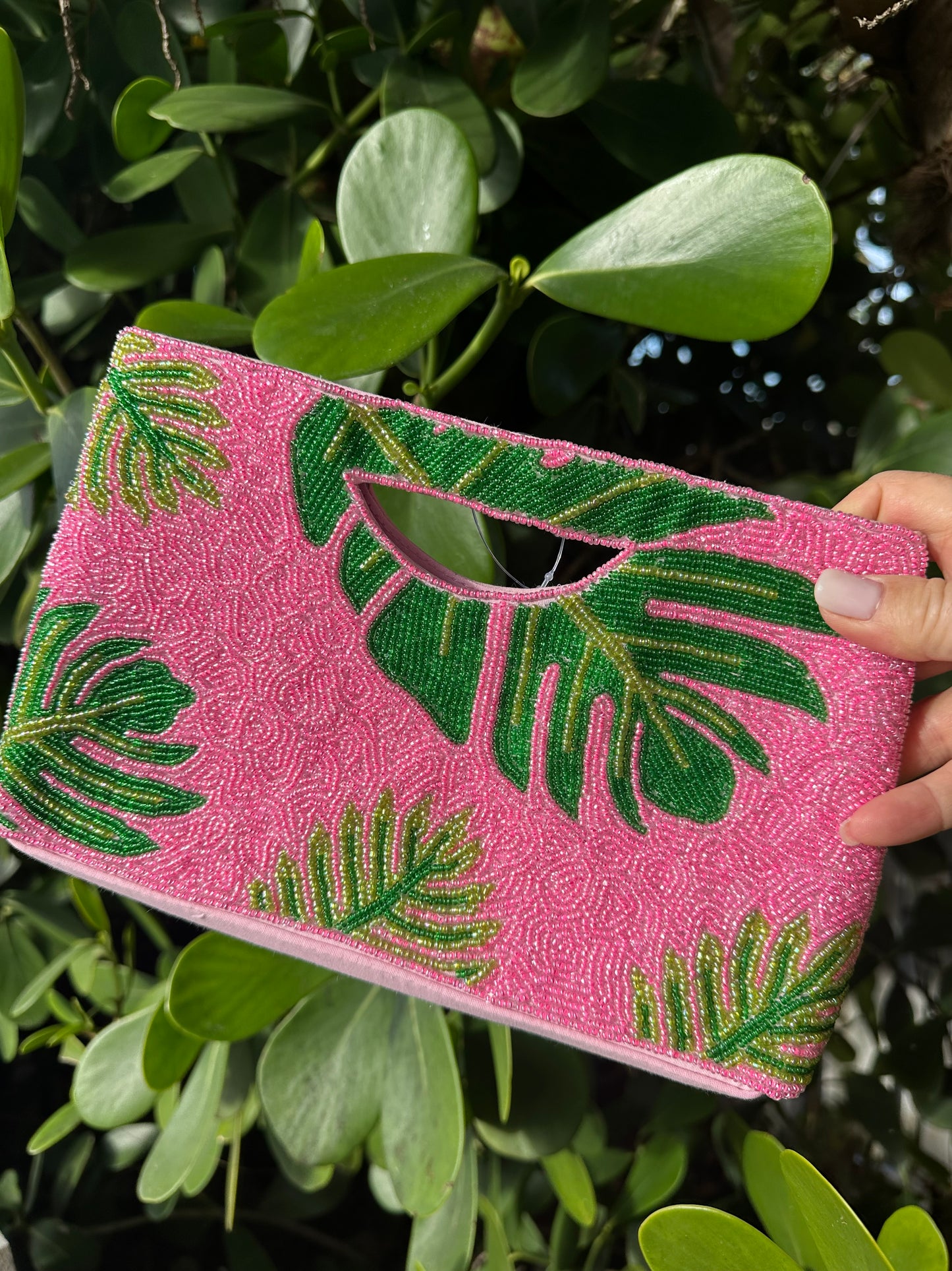 Palm on Pink