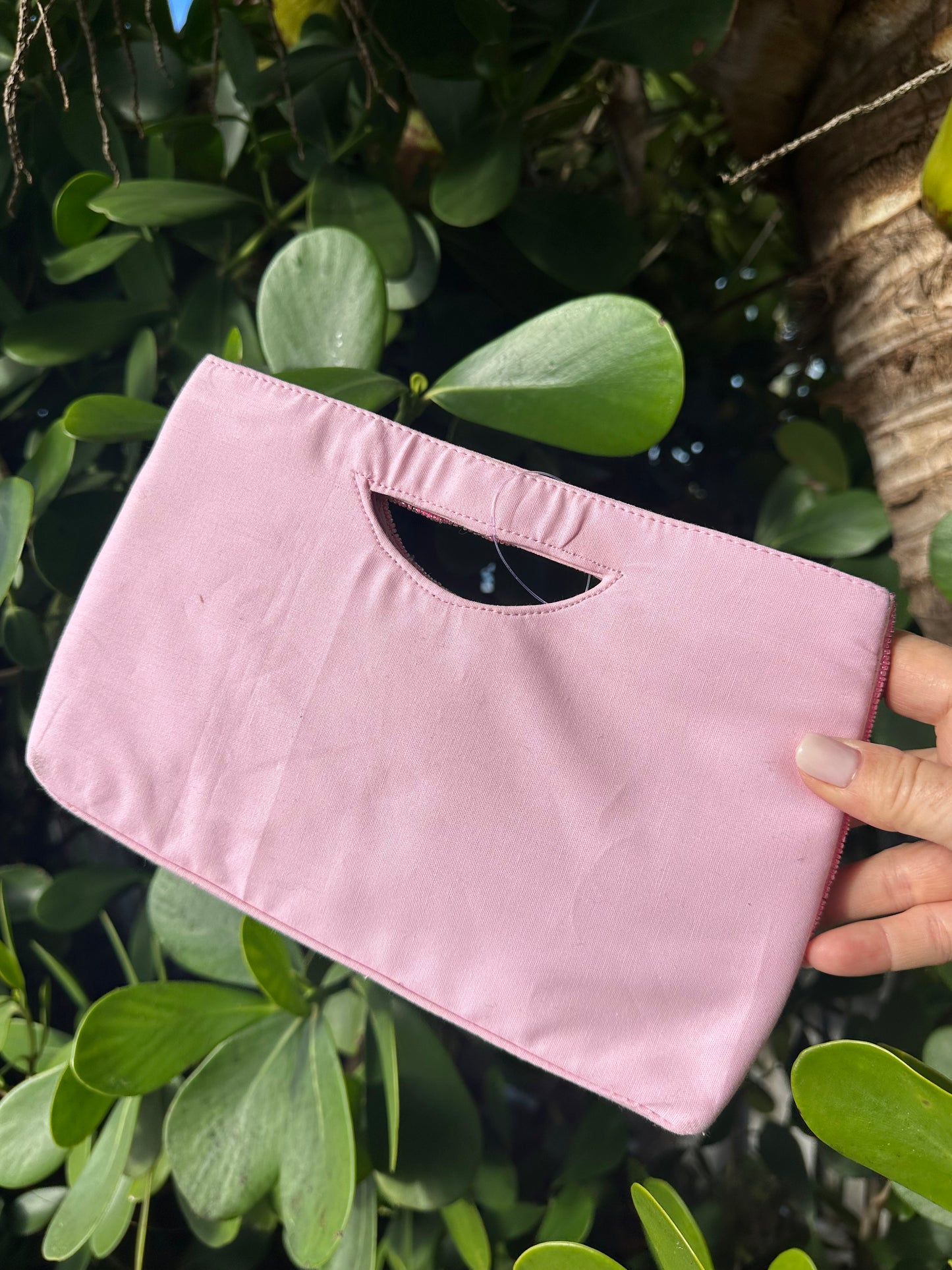 Palm on Pink