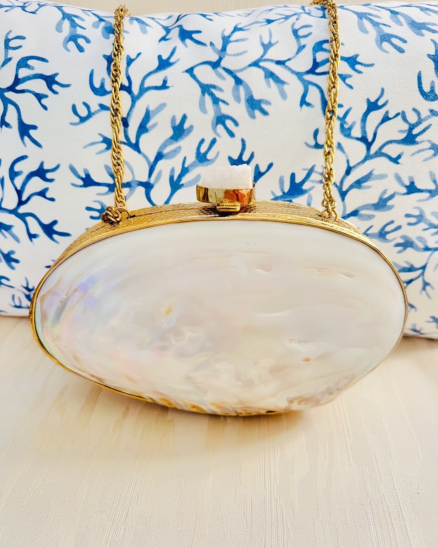 Oyster Shell Purse